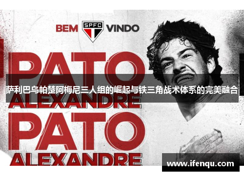 萨利巴乌帕楚阿梅尼三人组的崛起与铁三角战术体系的完美融合