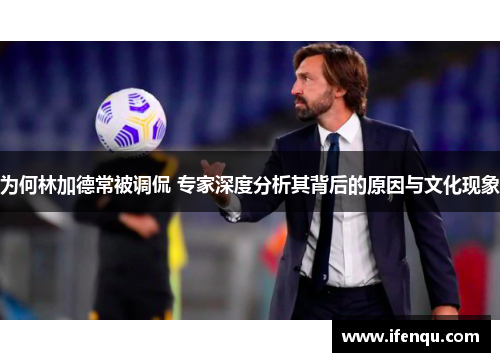 为何林加德常被调侃 专家深度分析其背后的原因与文化现象